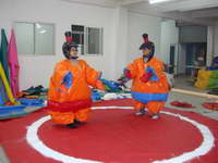 Sumo wresting