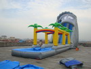 Inflatable Water Slides