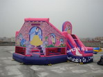 Inflatable Mini Bouncer