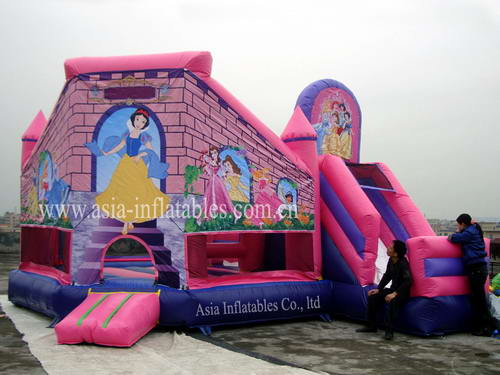 CAS-242 5In1 Princess Castles