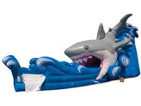 Waterslide-550 Shark water slide