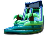 Waterslide-91 Dual Lane Curvy Water slide