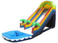 Waterslide-382