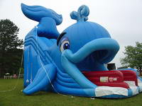 Waterslide-473 Wally the Whale