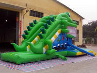 Crocodile-Slide  CLI-113-5