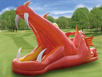 Inflatable Slide  CLI-392