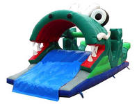 Inflatable Slide  CLI-410