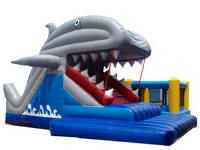 Inflatable Slide CLI-413-2