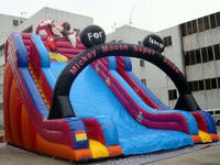 Inflatable slide  CLI-485