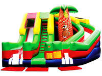 Inflatable Slide  CLI-1533