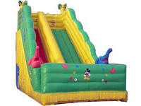 inflatable slide  CLI-2155