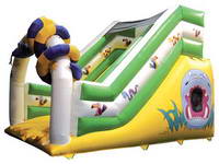 Inflatable slide  CLI-289