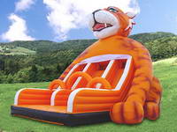 Inflatable slide CLI-85