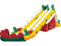 Inflatable slide CLI-48