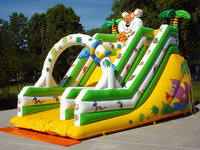 Inflatable slide CLI-13-1