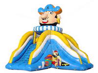 Inflatable Slide CLI-235