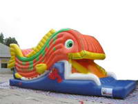 Inflatable Slide CLI-92-2