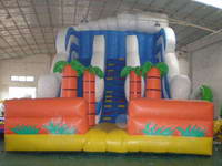 Inflatable Slide CLI-329