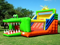 Inflatable slide  CLI-114