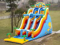 Inflatable slide  CLI-480