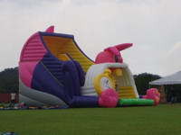Inflatable Slide  CLI-616