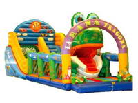 Inflatable Slide  CLI-542