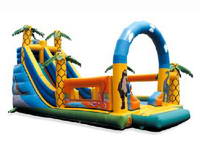 Inflatable Slide  CLI-521