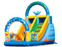 Inflatable Slide  CLI-528