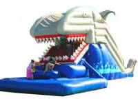 Inflatable Slide  CLI-413
