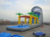 Waterslide-200-4