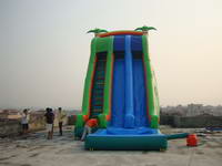 Waterslide-181-4