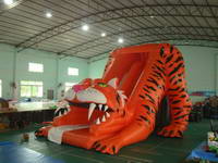 CLI-127-10 The tiger slide
